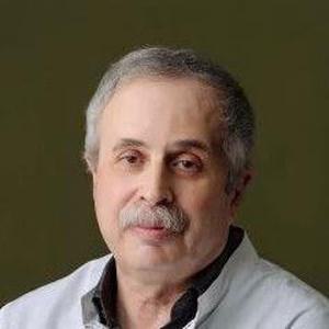 Гольдберг Михаил Семенович