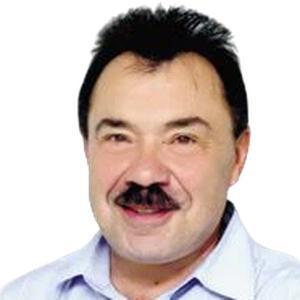 Гинзбург Михаил Моисеевич