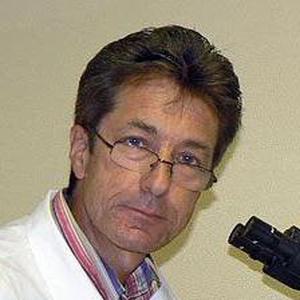 Новиков Александр Михайлович