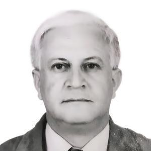 Абдулгасанов Рамиз Алиевич